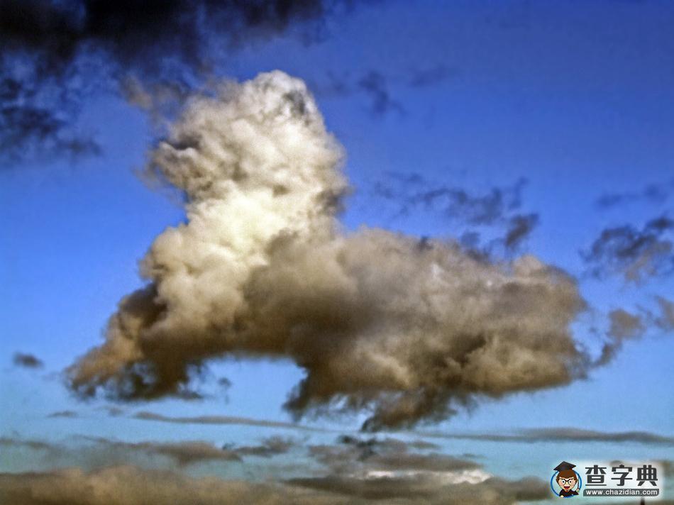 云中漫步—揭秘万里碧空朵朵云背后的神秘动物