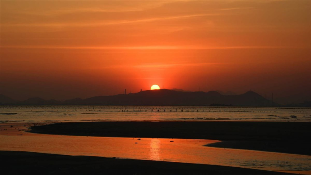 水储风絮夕阳天是什么生肖，马上为你揭晓落实