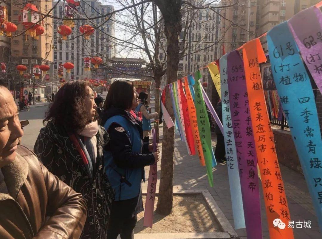 谜语中的智慧，东躲西藏猜一动物—时代变迁下的文化解读与落实