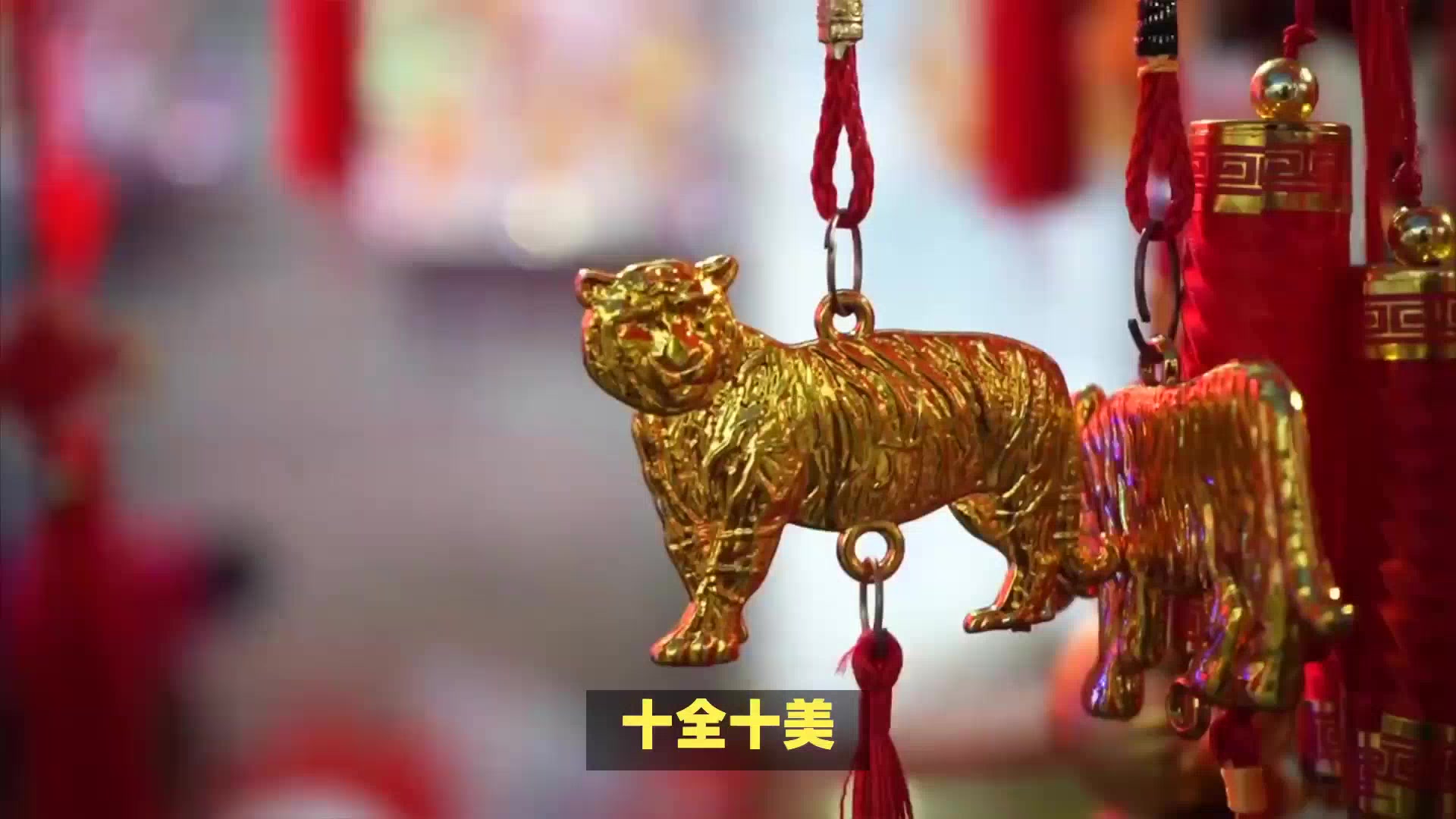 十全十美出过什么生肖，的精准解答与落实精神