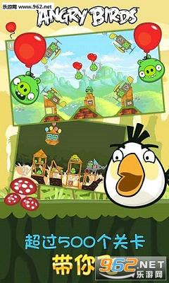 解密小鸟不依人背后的生肖谜题