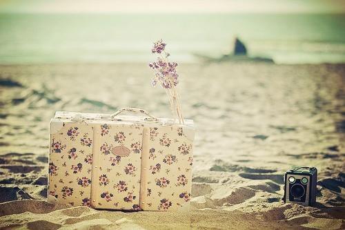 南征北战是什么生肖?背后的智慧与哲理