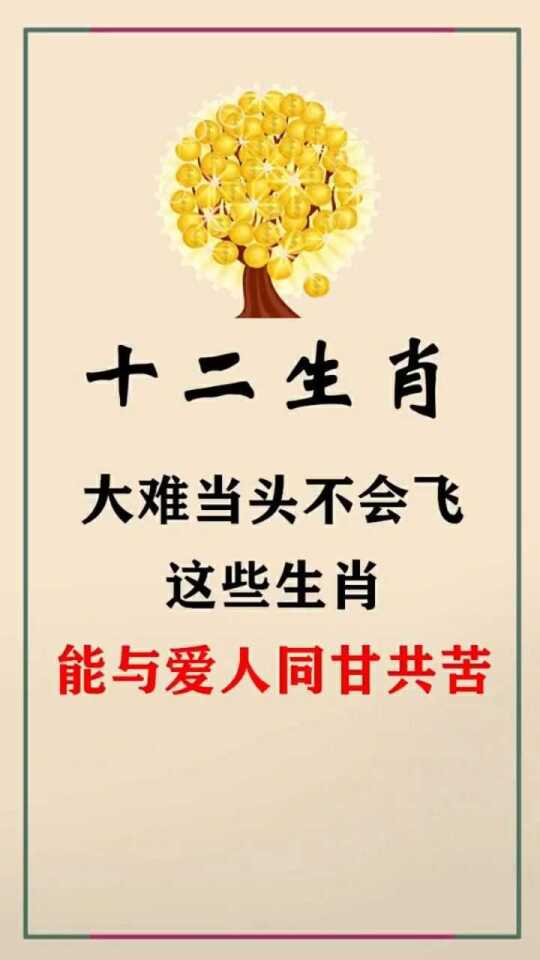 同甘共苦是什么生肖，网络解释的落实