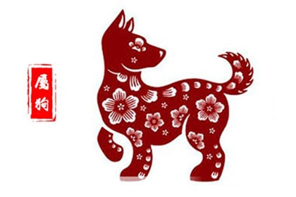 揭秘遮字背后的生肖玄机，一场文化与智慧的深度探索