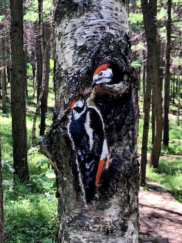 揭秘山上的生肖，自然与文化的奇妙融合