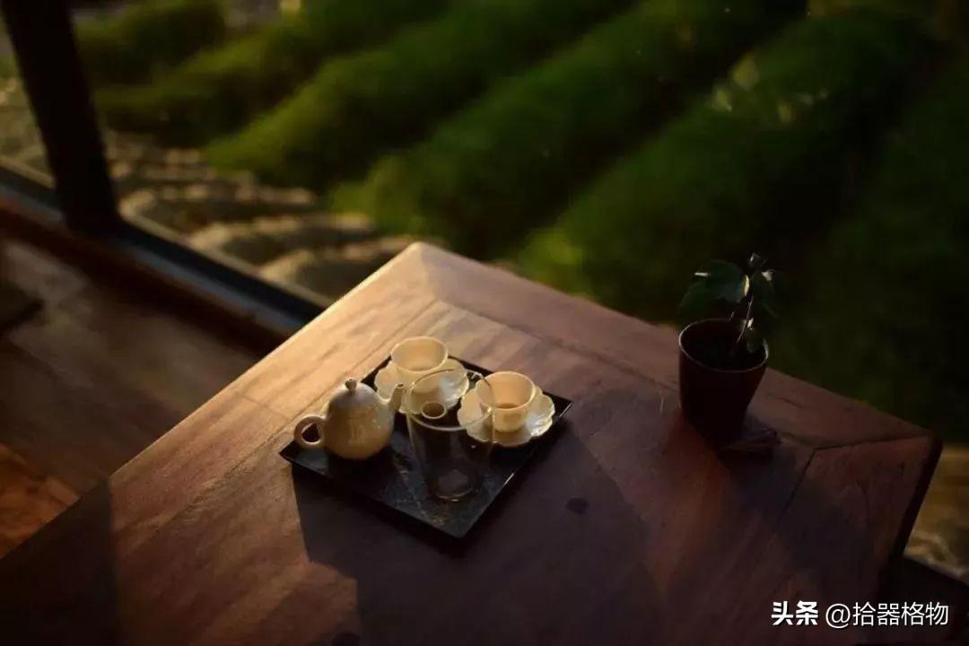 春光夏雨夜，谜中藏深意—揭秘十分春光夏雨夜背后的文化寓意与动物之谜