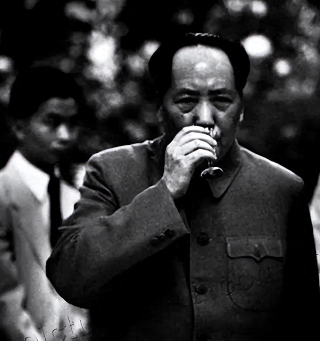 东北肖是什么生肖，相信作答落实解释