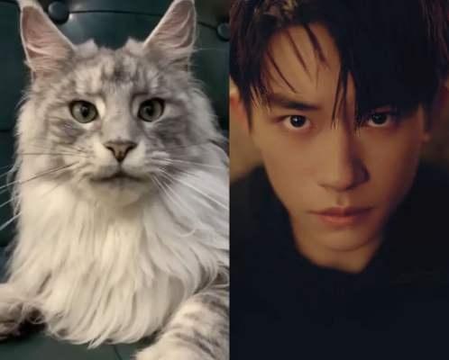 铁头长角羊成群,寓言中的智慧与启示 铁头长角羊成群,寓言中的智慧与启示