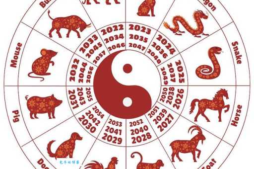 美的生肖是哪些，选择解释落实