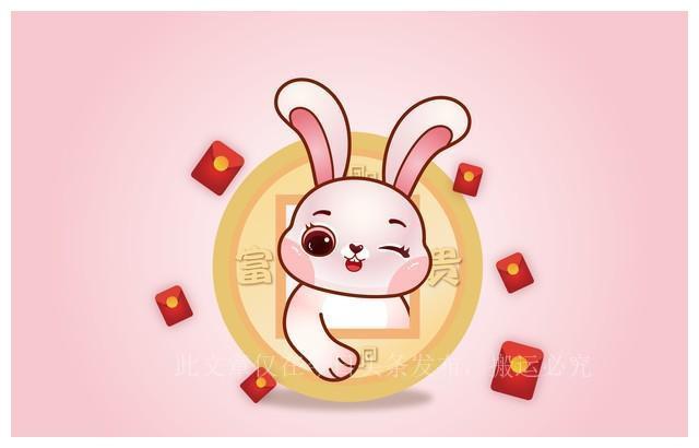 生肖猪的智慧之选，与哪些生肖相配的最佳选择