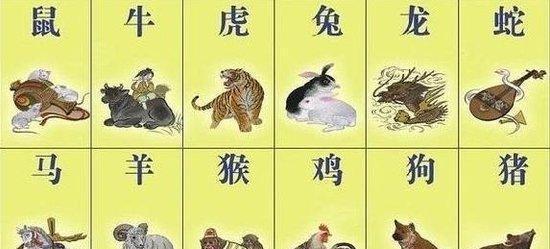 字正腔圆与生肖的奇妙故事—揭秘鸡的独特寓意