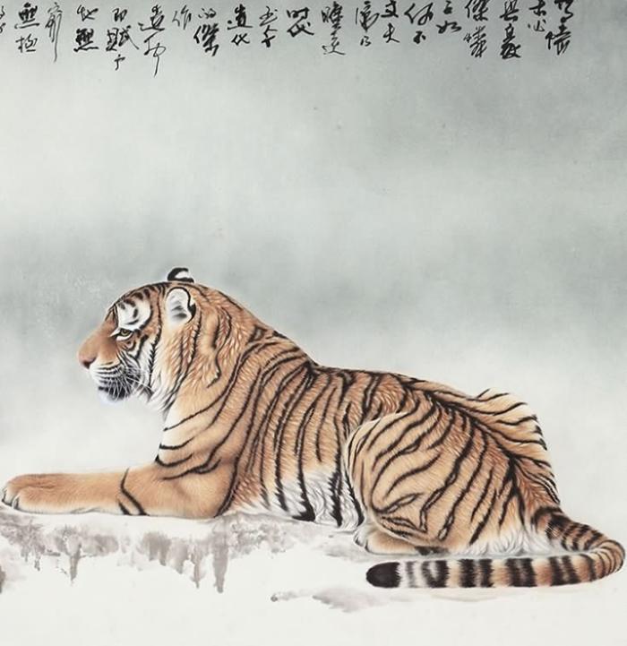 面目一新与积极行动，解锁生命中的蜕变之虎