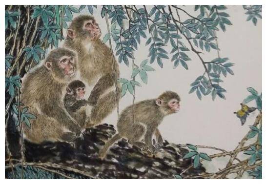 体现气势好的生肖，的最快解答落实