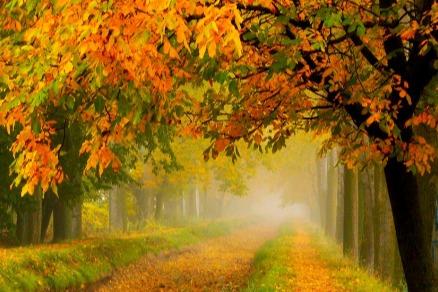 桃花初开打一正确生肖，马上为你揭晓落实