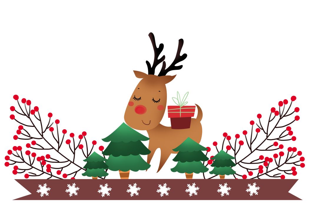 圣诞节与生肖的奇妙联结，一场文化与传统的深度解析