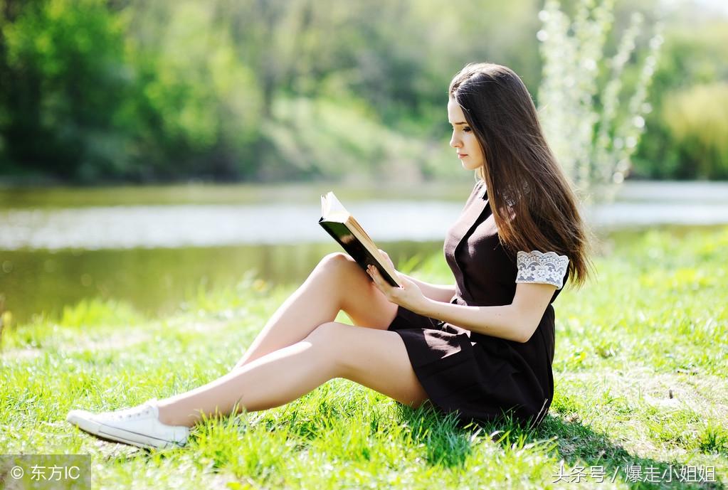 勤劳正义的生肖，社会进步与文化解析的生动篇章