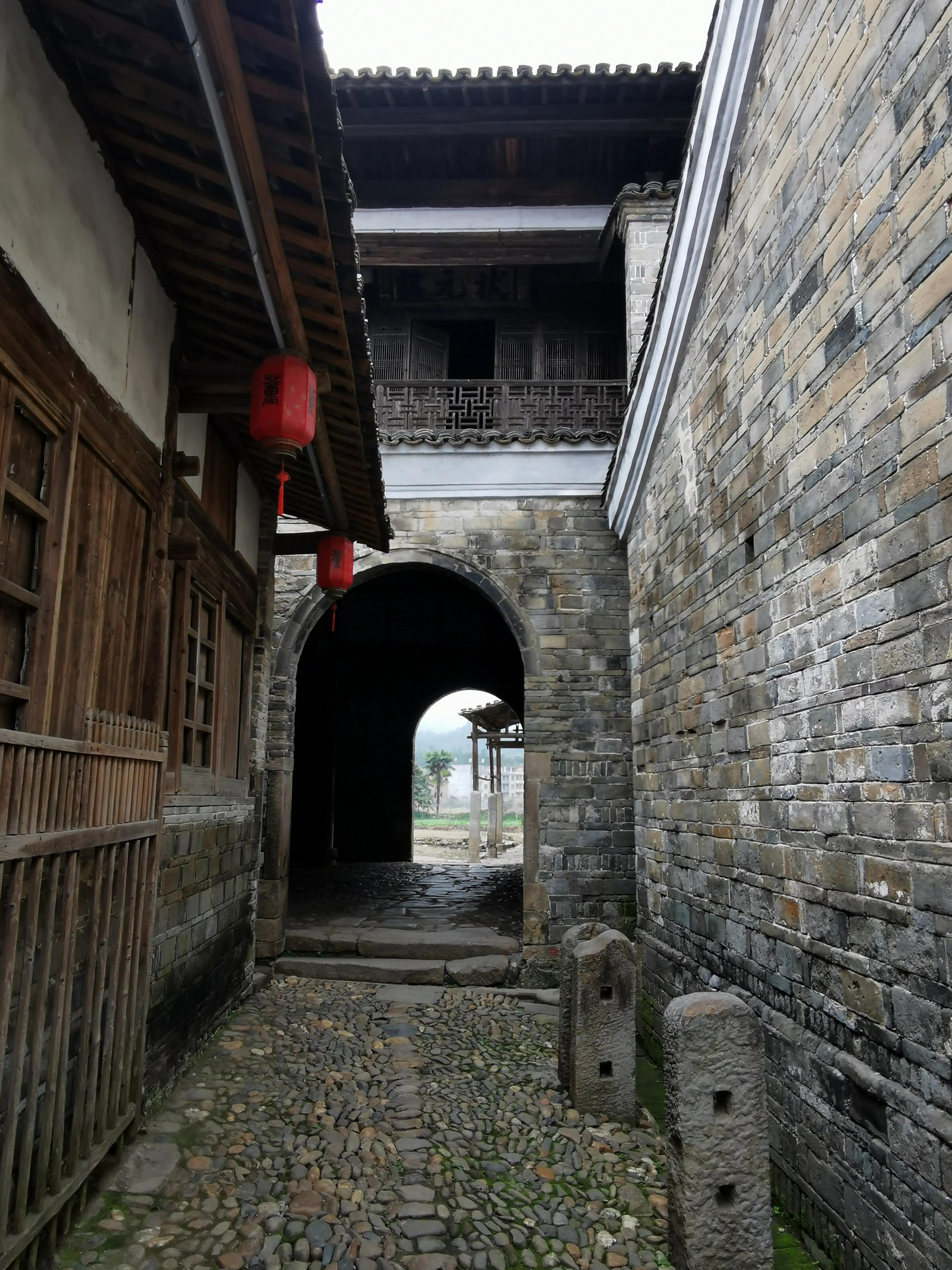 历历在目，探寻生肖中的记忆之灵—鼠